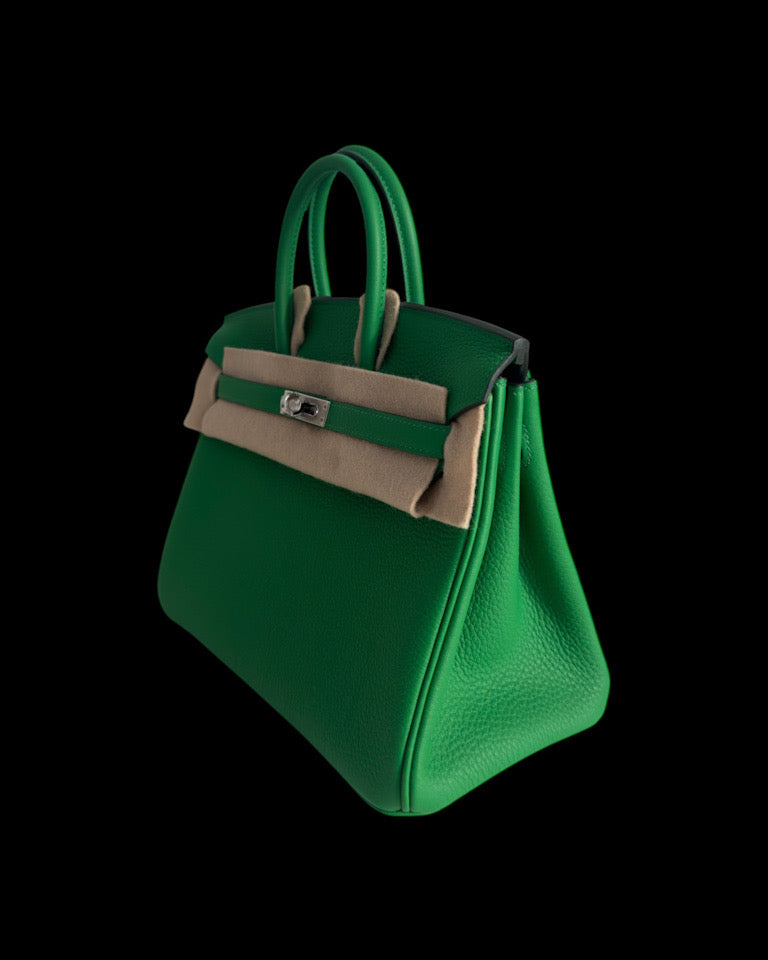 Birkin 25 - Bambou Togo PHW CK